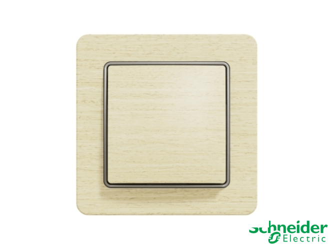Вимикачі та розетки Schneider Electric Sedna Design & Elements
