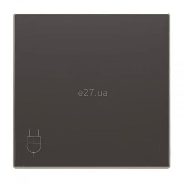 Лицьова панель розетки 220В ABB 2CLA858810A1501 Sky 8588.1 NS