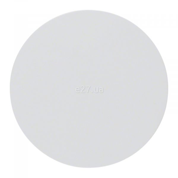 Лицевая панель выключателя Berker 16202089 R.1/R.3/R.8
