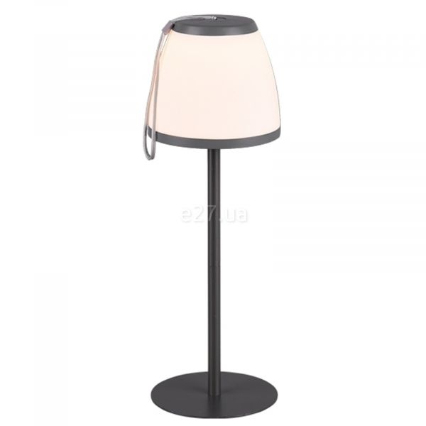 Настольная лампа Reality R52096142 Domingo