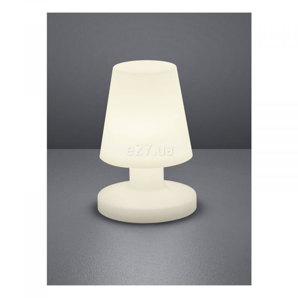 Настільна лампа Reality R57061101 Bora