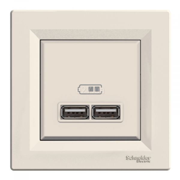 Розетка USB Schneider Electric EPH2700223 Asfora