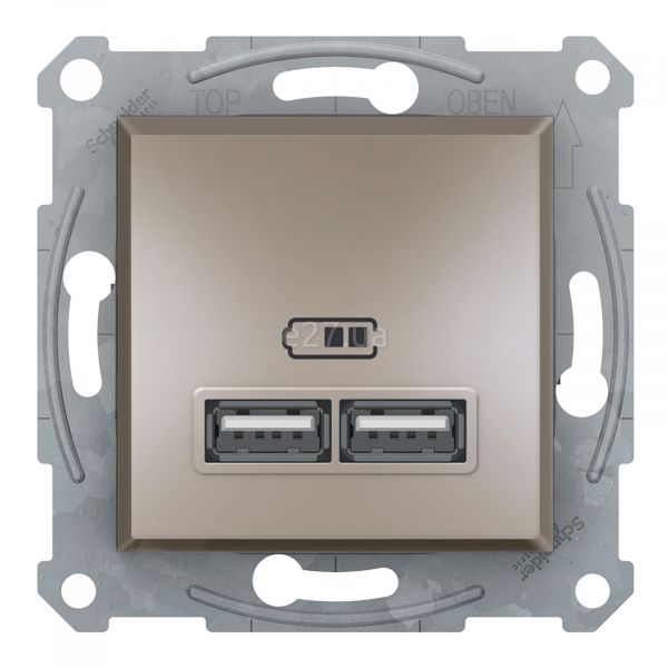 Розетка USB Schneider Electric EPH2700269 Asfora