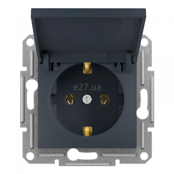 Розетка 220В Schneider Electric EPH3100171 Asfora