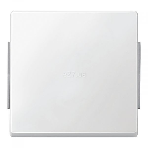 Лицевая панель выключателя Schneider Electric MTN343119 Merten Aquadesign