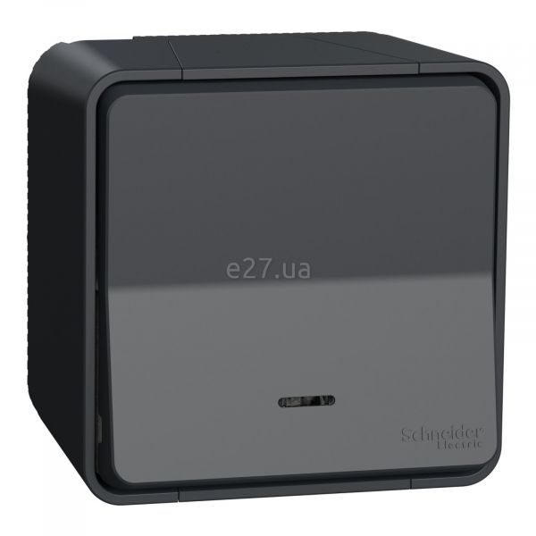 Перемикач прохідний 1-клавішний Schneider Electric MUR35024 Mureva Styl
