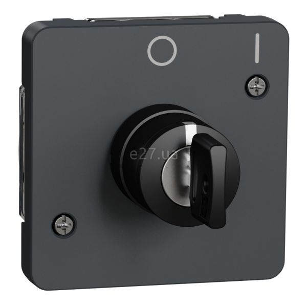 Вимикач з ключем Schneider Electric MUR35062 Mureva Styl