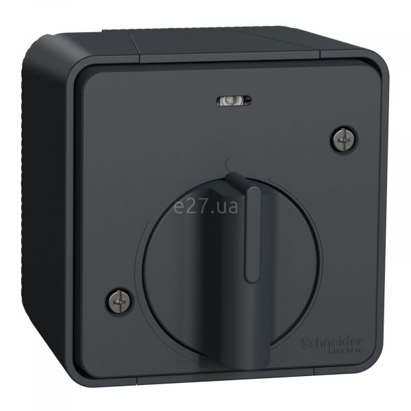 Выключатель с таймером Schneider Electric MUR35067 Mureva Styl