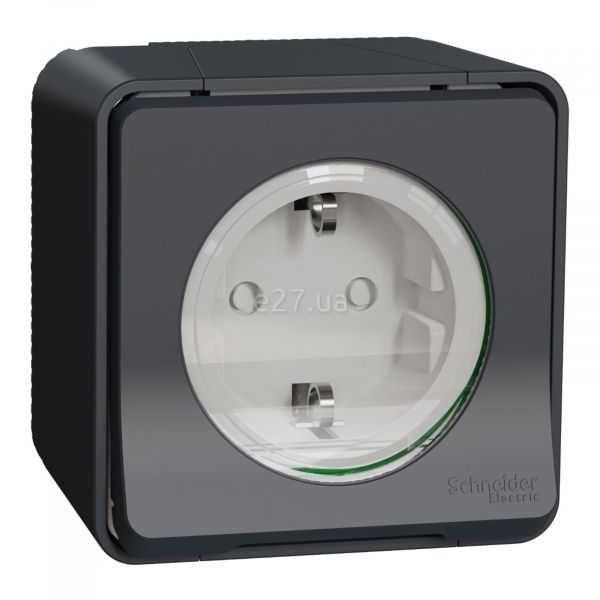 Розетка 220В Schneider Electric MUR36034 Mureva Styl