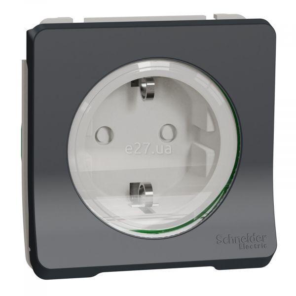 Розетка 220В Schneider Electric MUR36134 Mureva Styl