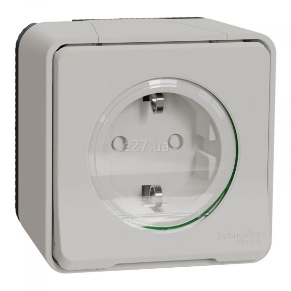 Розетка 220В Schneider Electric MUR39034 Mureva Styl
