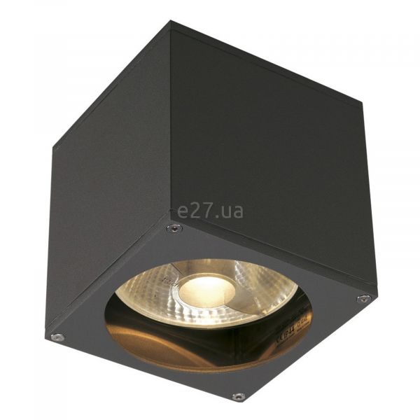 Настінний світильник SLV 229565 Big Theo Wall