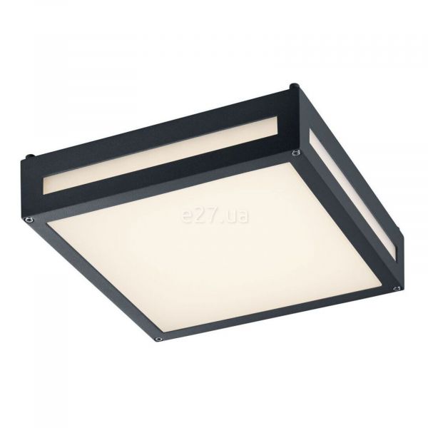 Потолочный светильник Trio 620060142 Newa