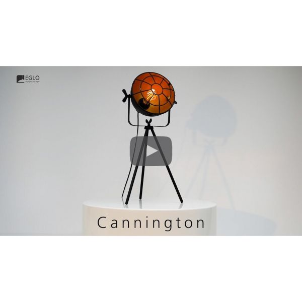 Eglo 49673 Cannington