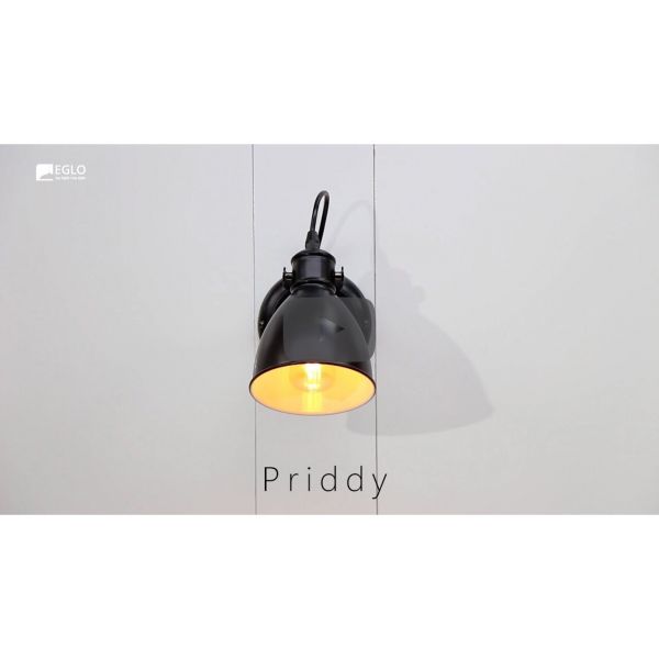 Eglo 49468 Priddy