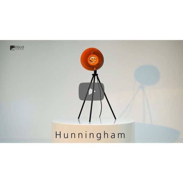 Eglo 43007 Hunningham