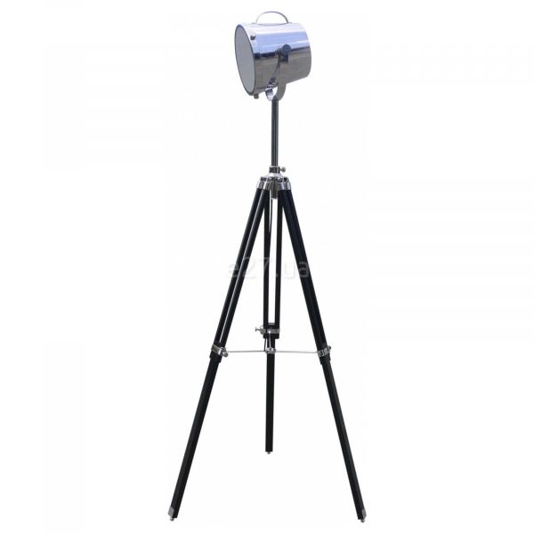 Торшер Zuma Line TS-065909F Energy