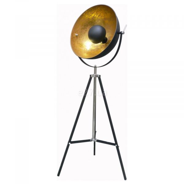 Торшер Zuma Line TS-090522F-BKGO Antenne