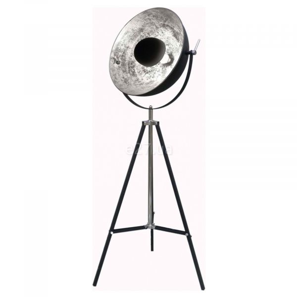 Торшер Zuma Line TS-090522F-BKSI Antenne